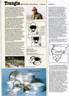 k83pg38.jpg